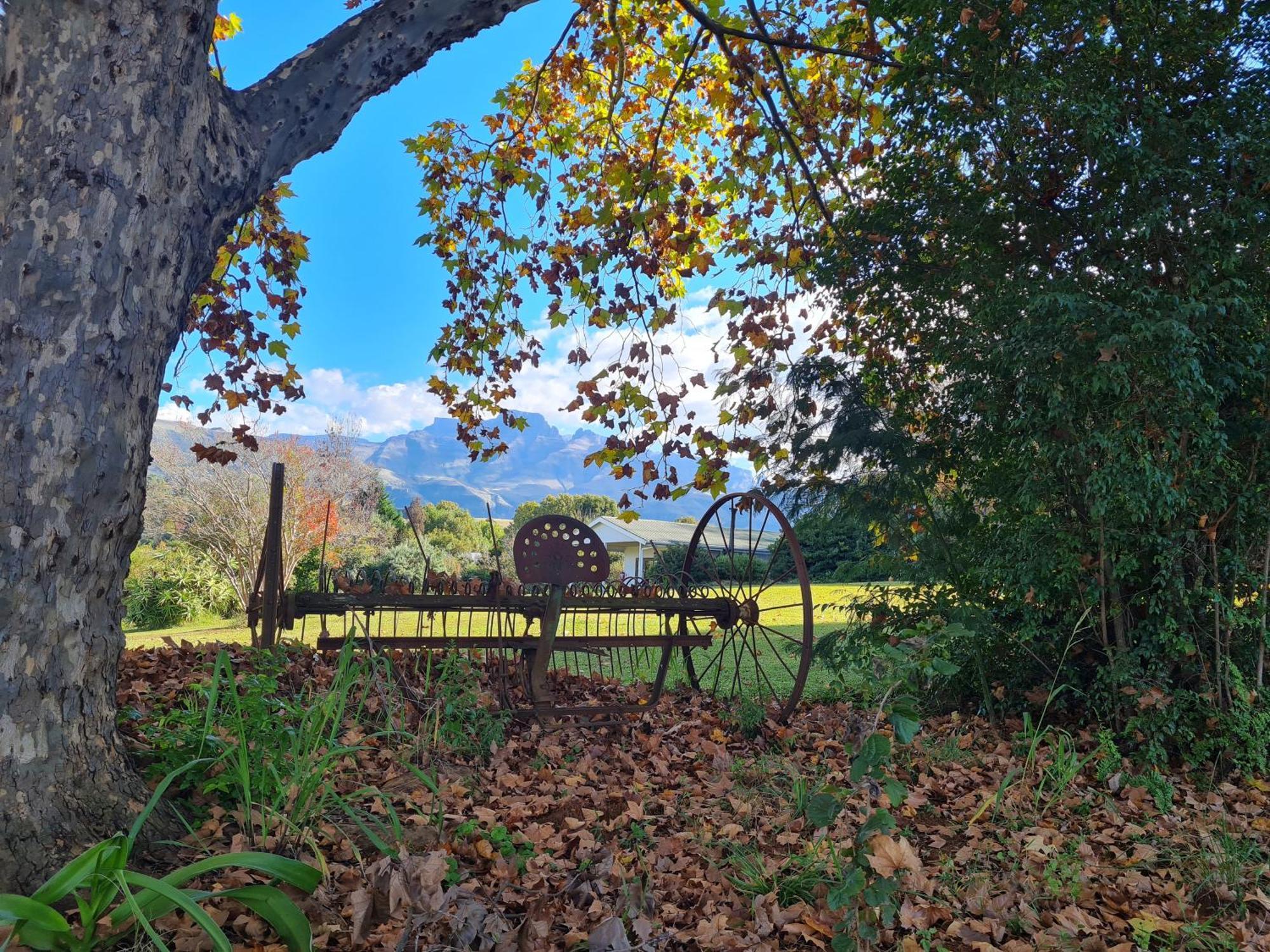 Swallowfield Rondavels Champagne Valley ภายนอก รูปภาพ